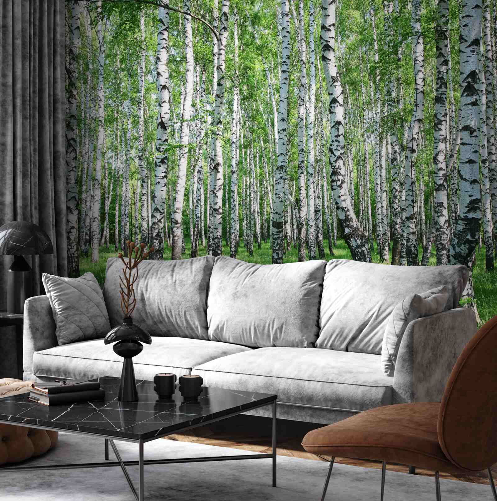 Fototapet există o mulțime de mesteceni în pădure