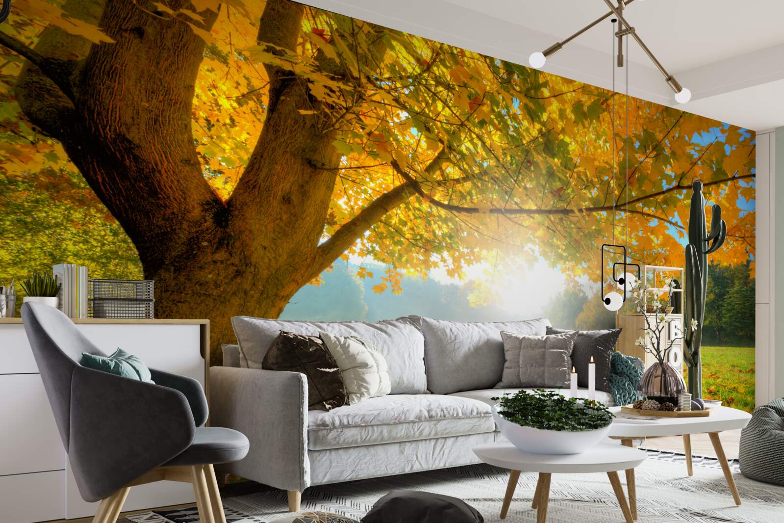 Fototapet pădure de toamnă luminată de soare