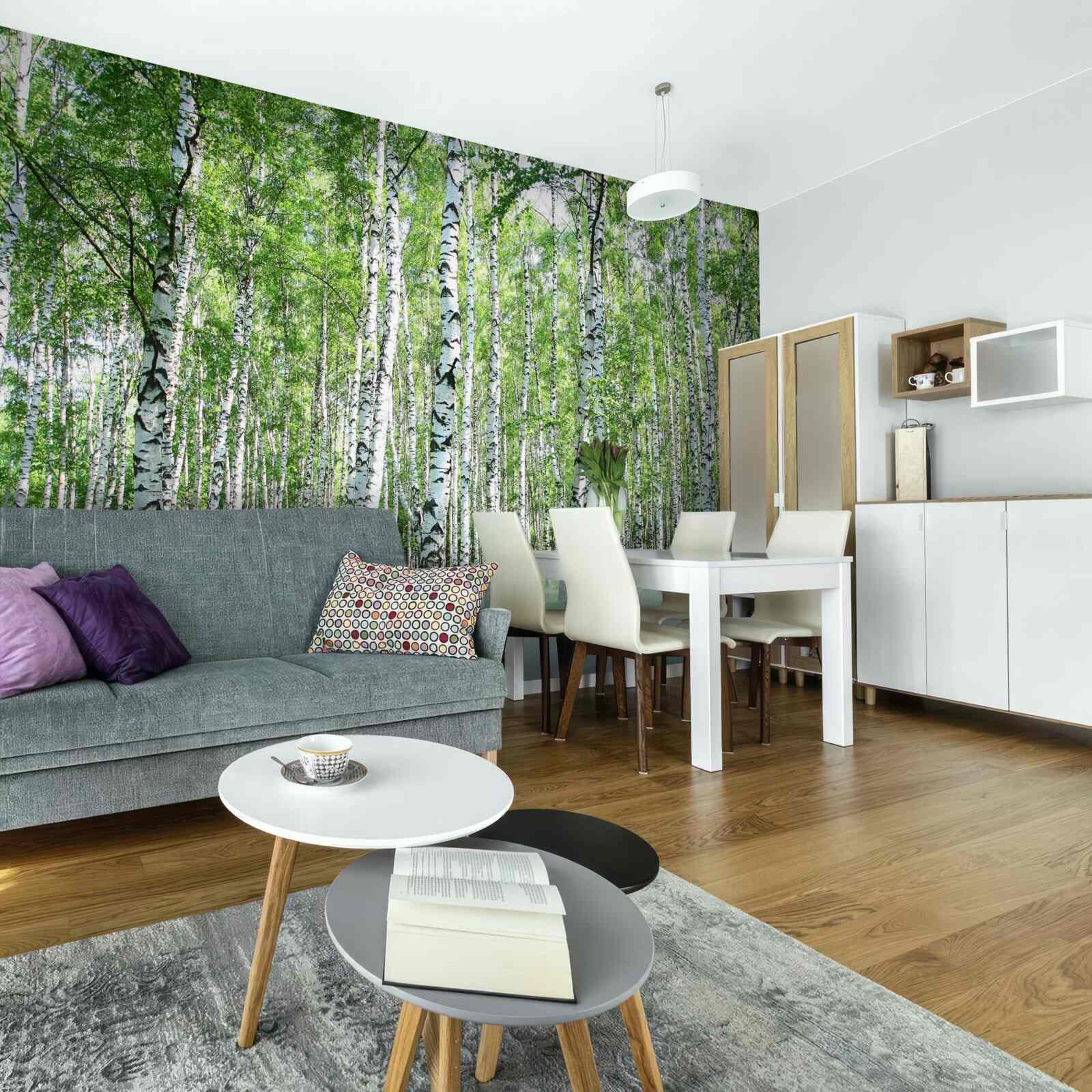 Fototapet grațios, spre cer mesteceni