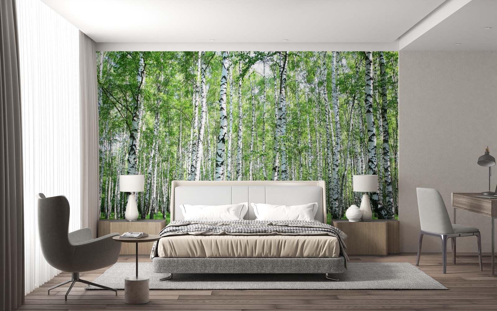 Fototapet grațios, spre cer mesteceni