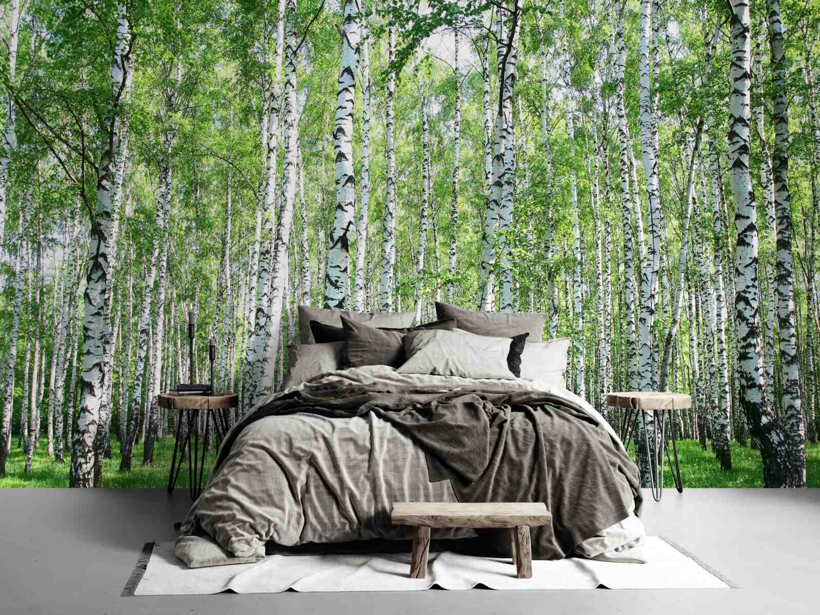 Fototapet grațios, spre cer mesteceni