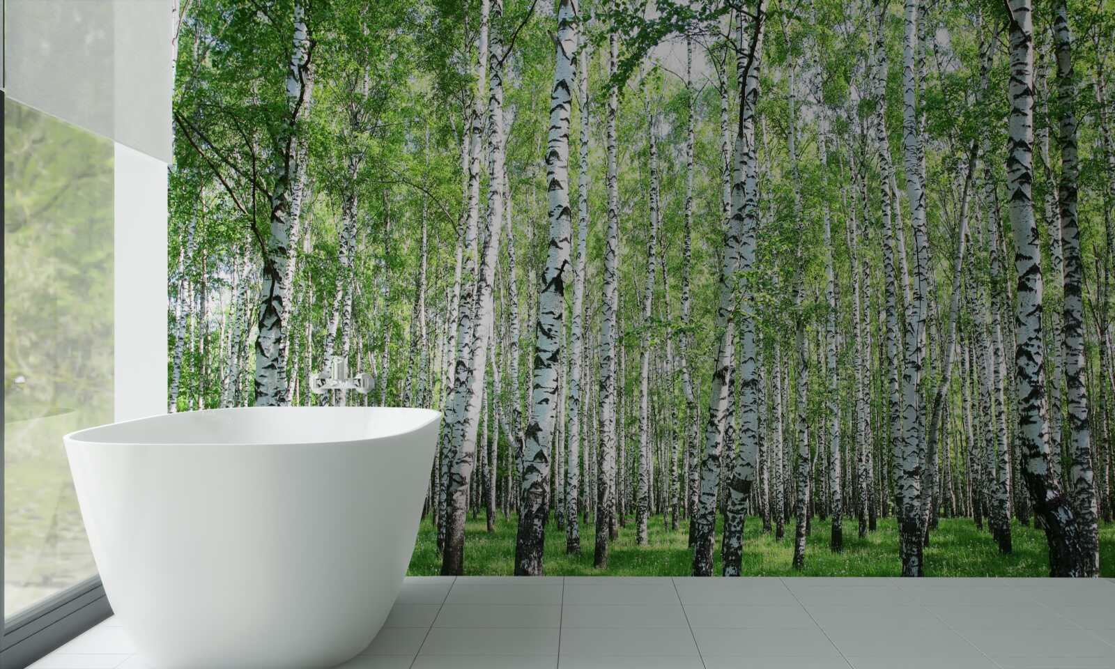 Fototapet grațios, spre cer mesteceni