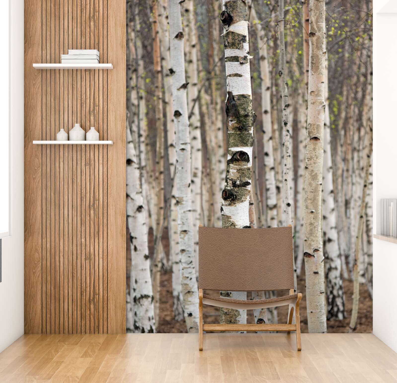 Fototapet mesteceni în pădure