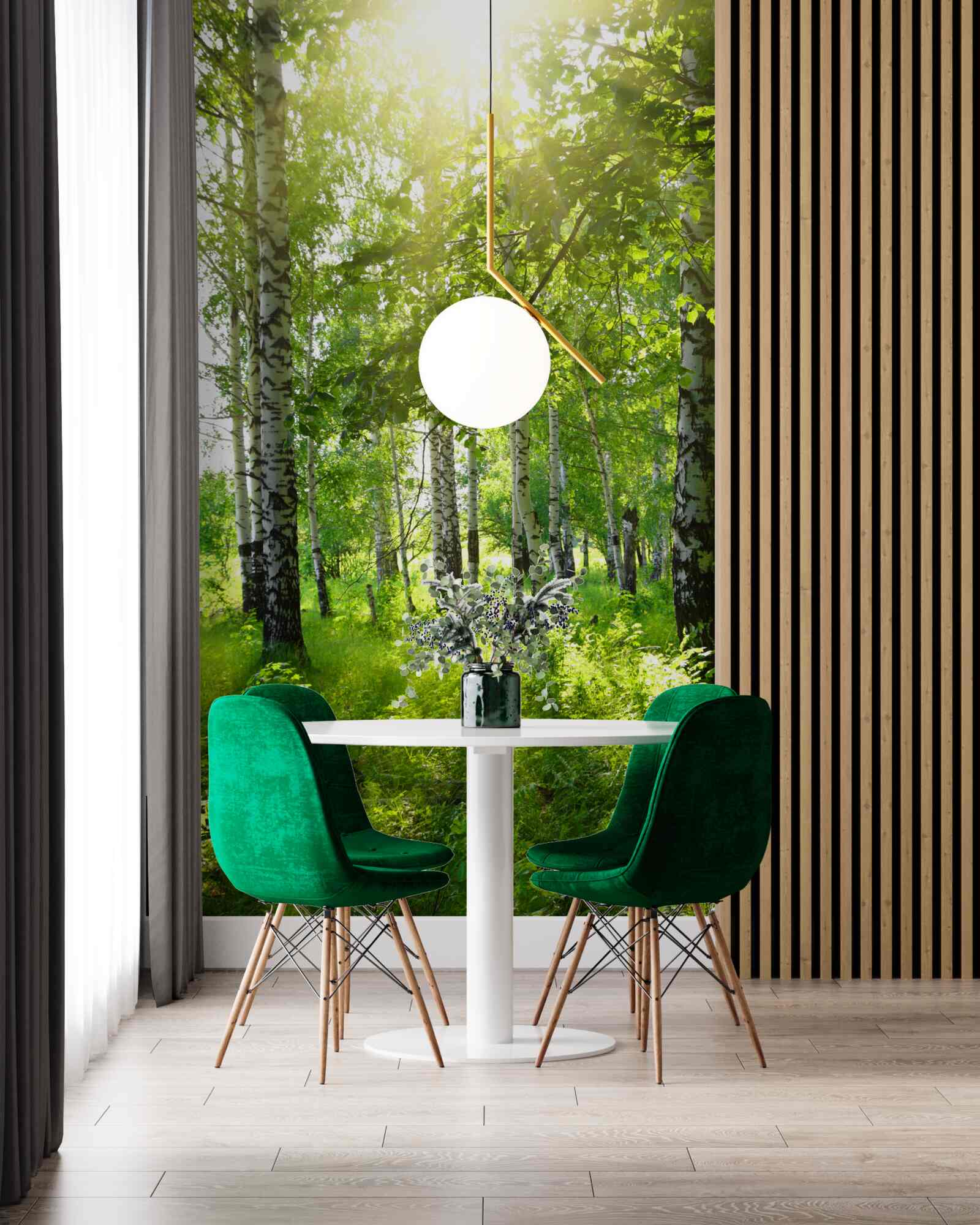 Fototapet soare într-o livadă de mesteceni