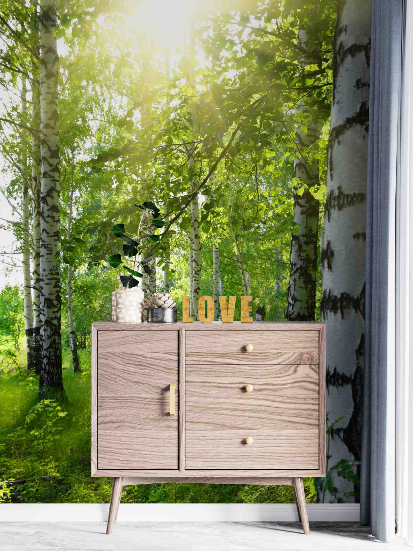 Fototapet soare într-o livadă de mesteceni