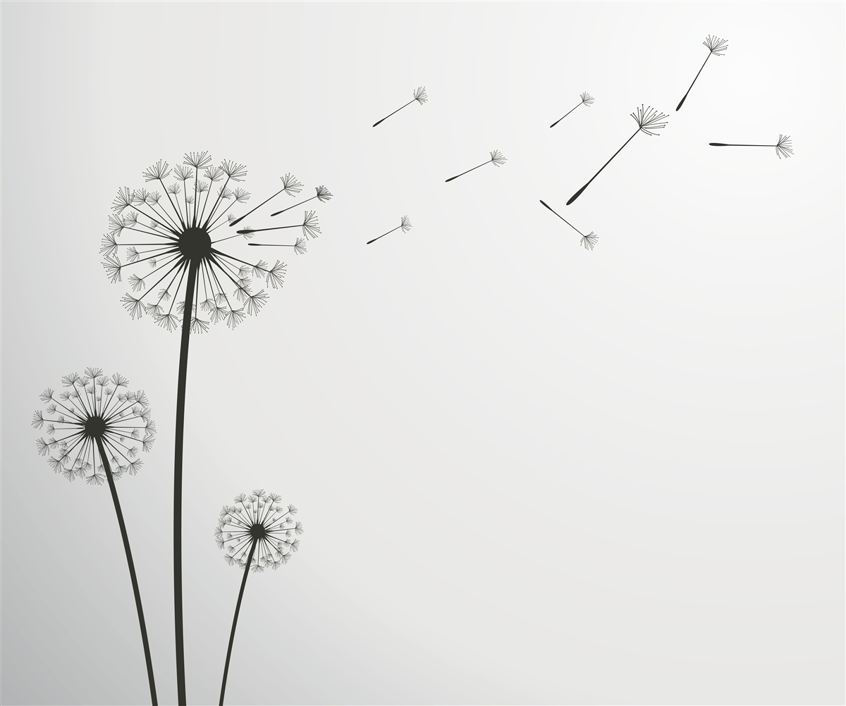 Fototapet lăptișorul căzut zboară departe