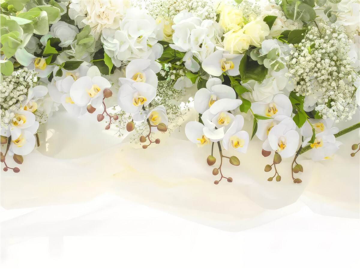 Fototapet orhidee albe dangle