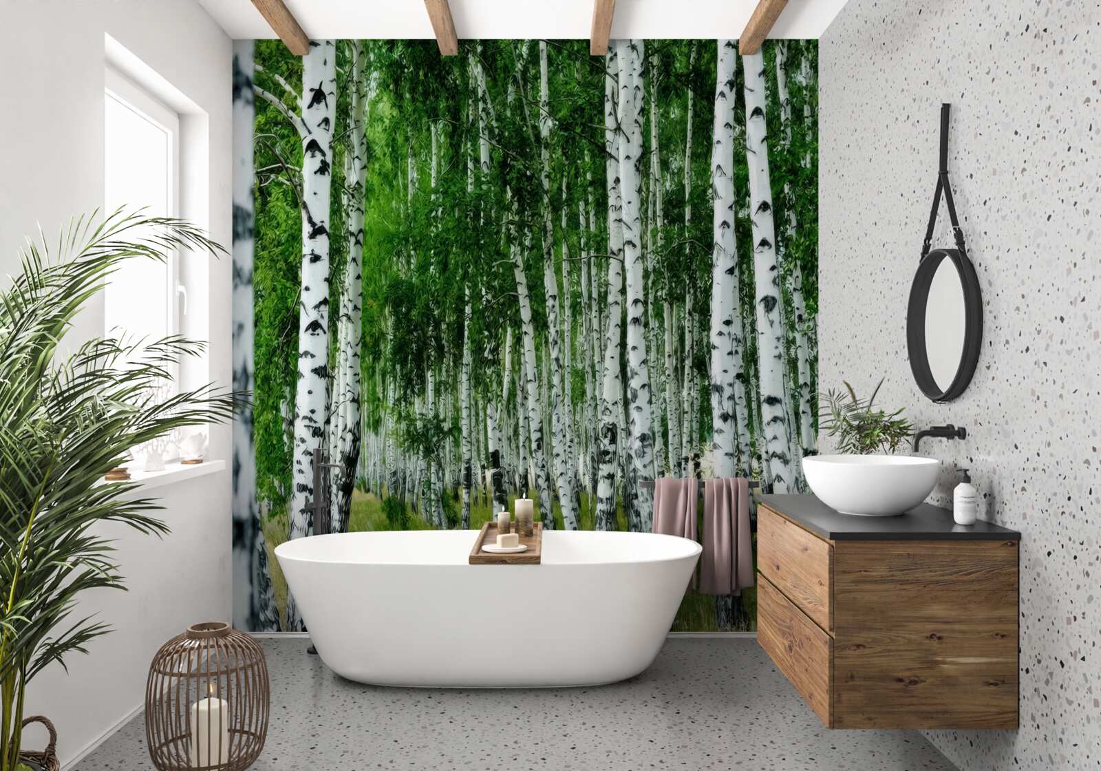 Fototapet mesteacăn grove