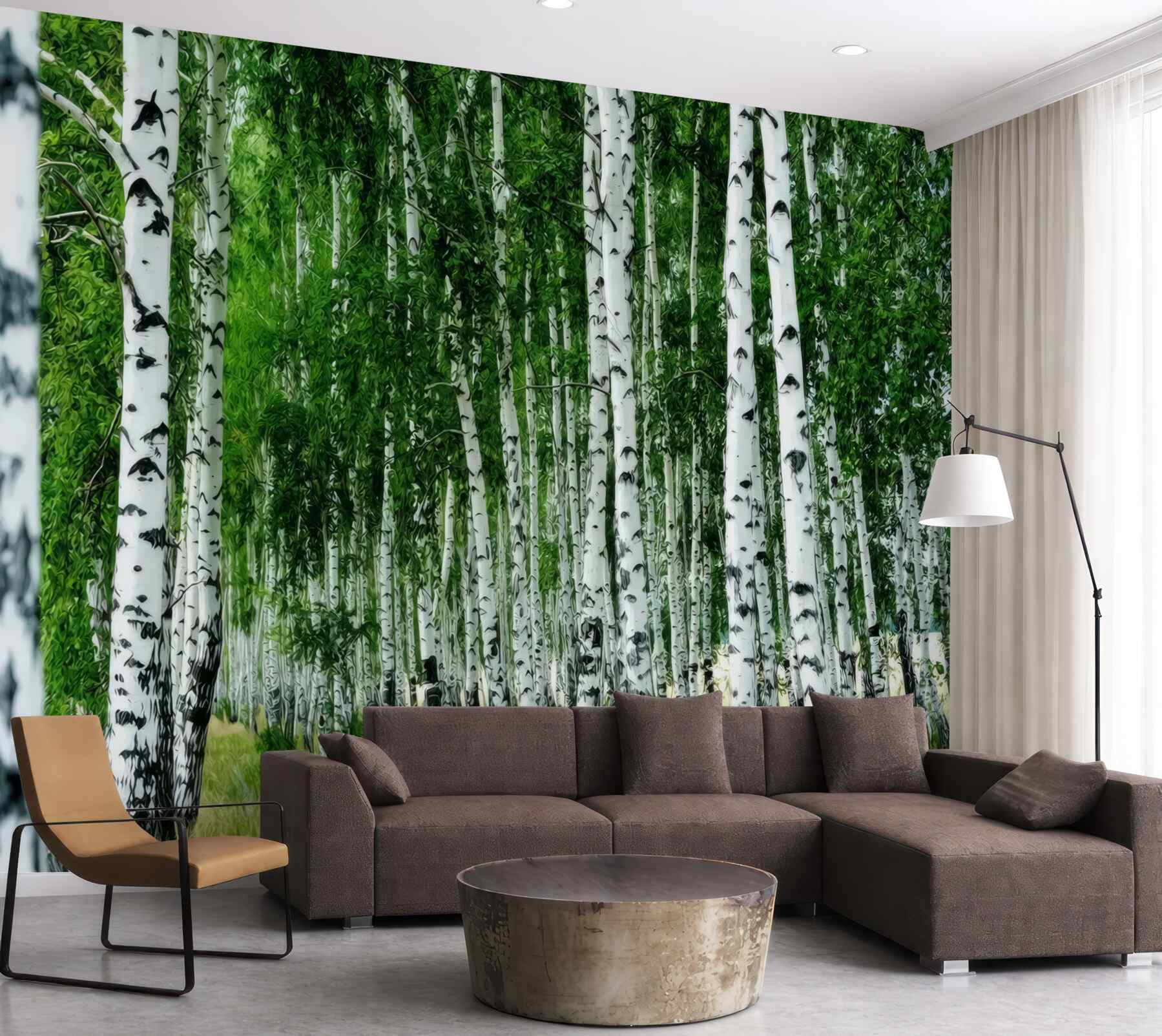 Fototapeta gaj brzozowy