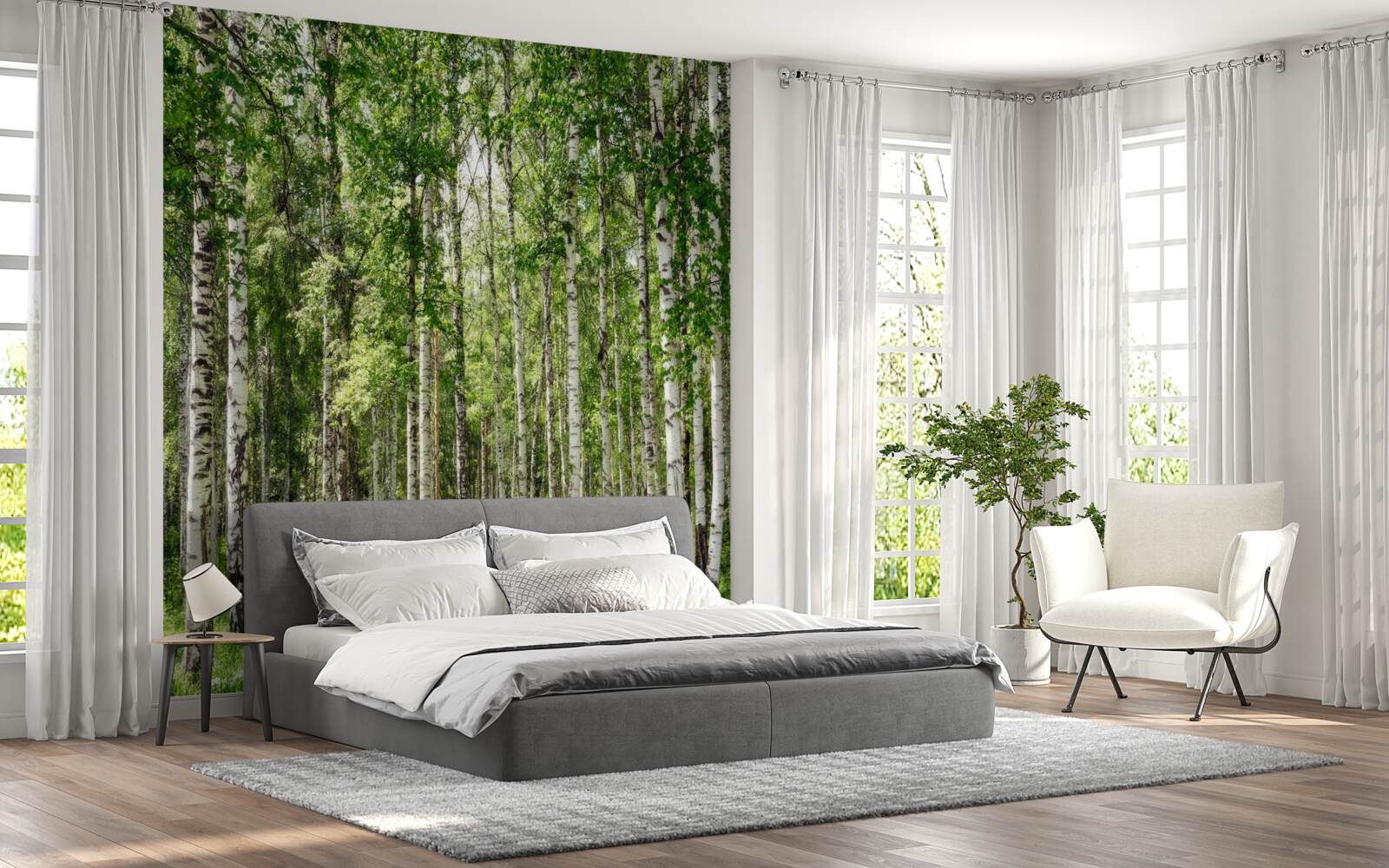 Fototapet plin de farmec mesteacăn