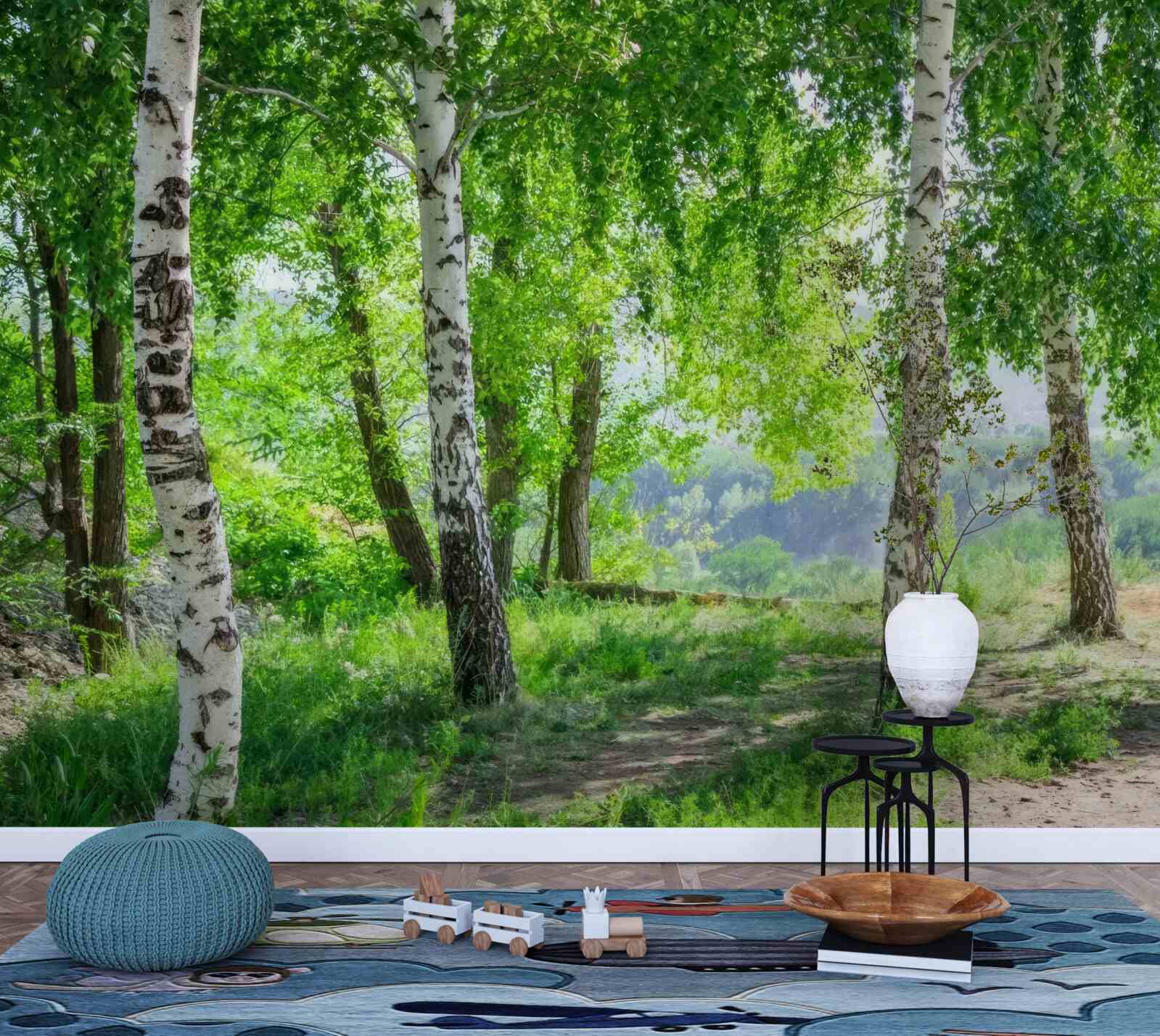 Fototapet o pădure plină de mesteceni verzi