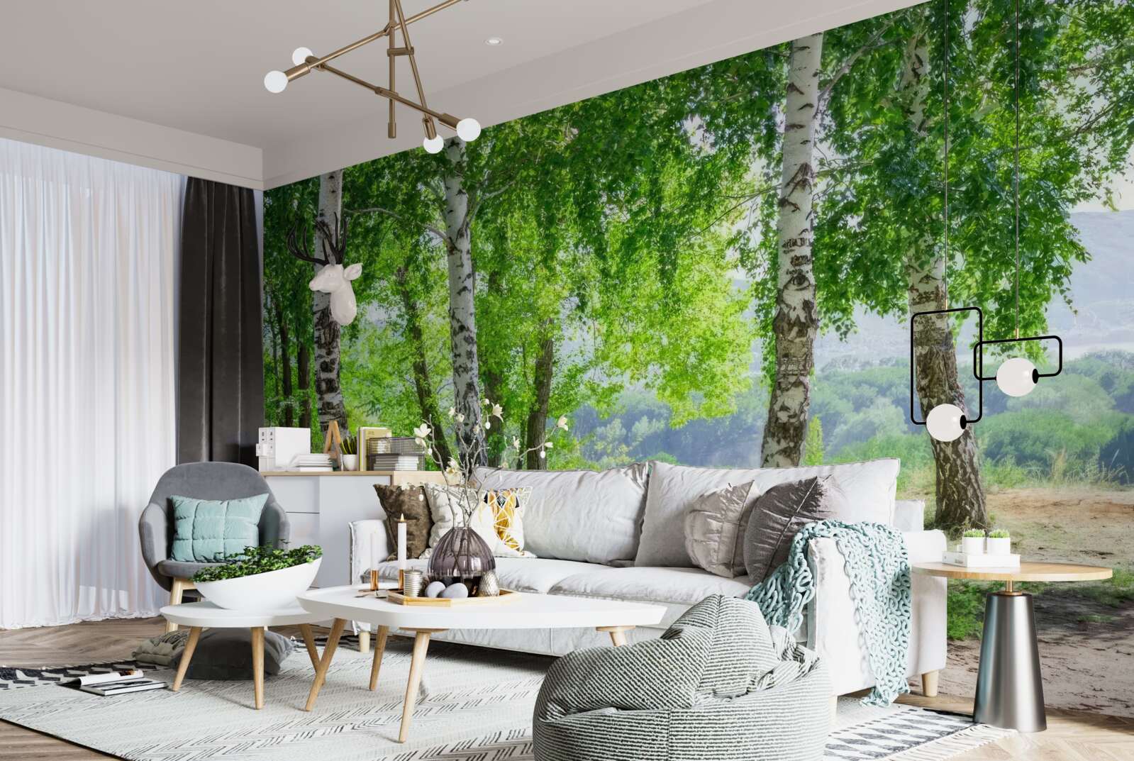 Fototapet o pădure plină de mesteceni verzi