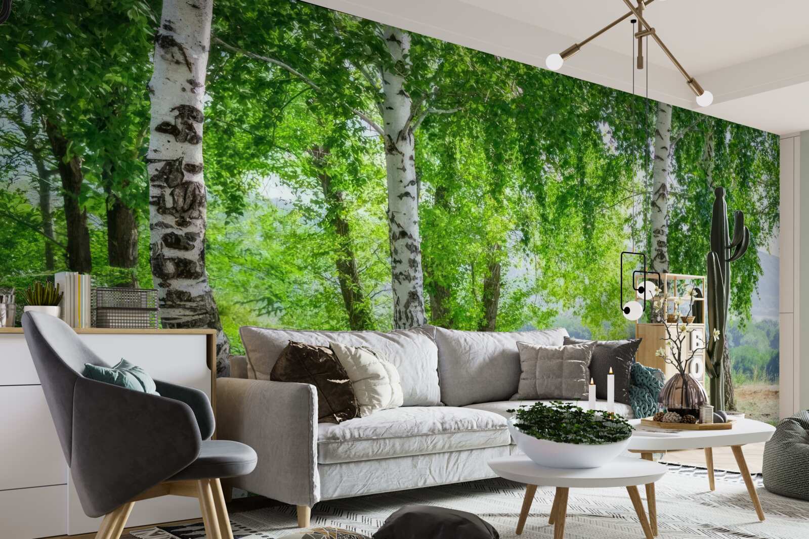 Fototapet o pădure plină de mesteceni verzi