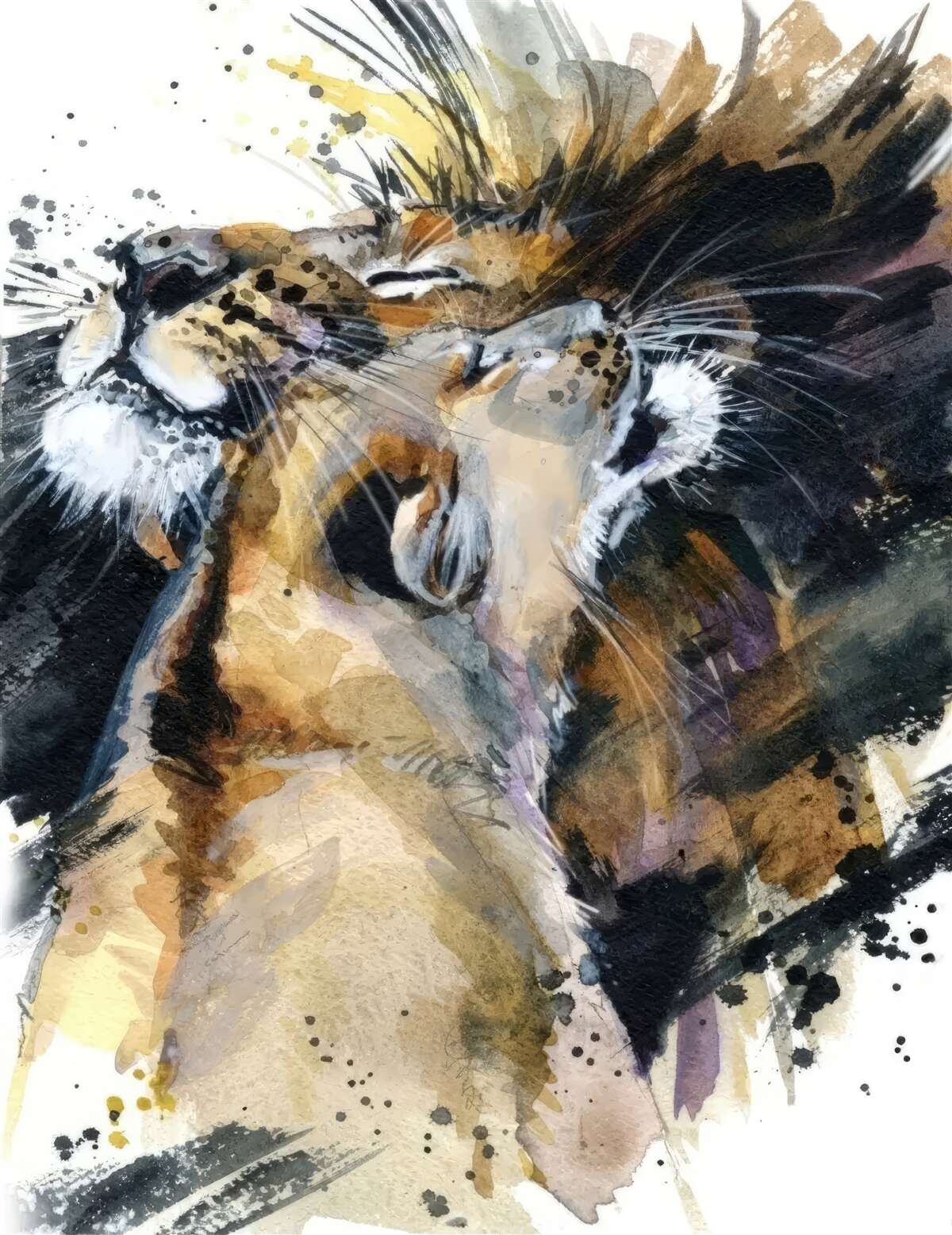 Fototapet imagini ale leului și leoaicei