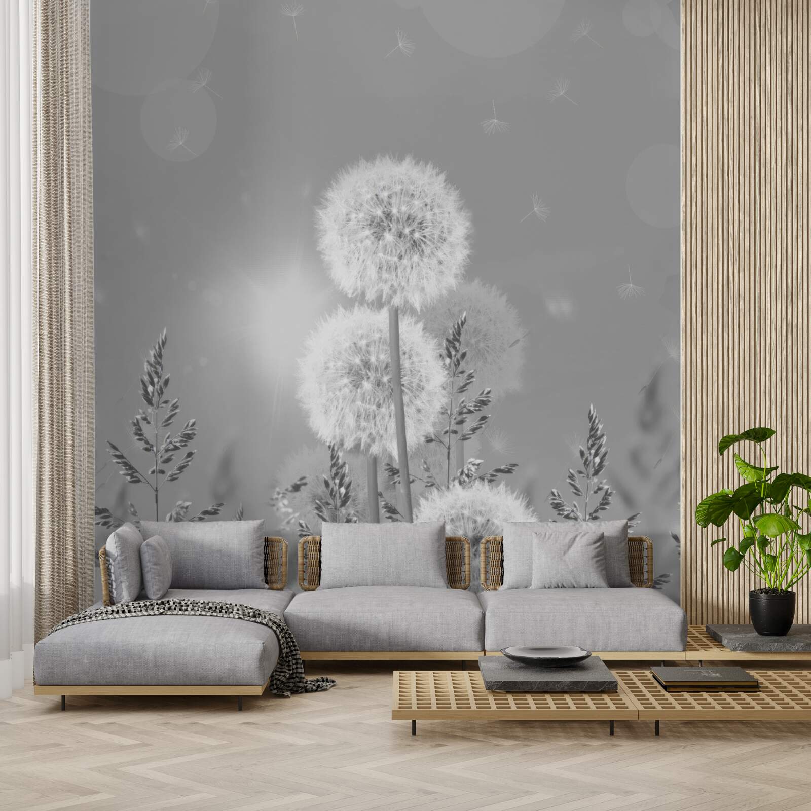 Fototapet păpădii în nuanțe de alb și negru