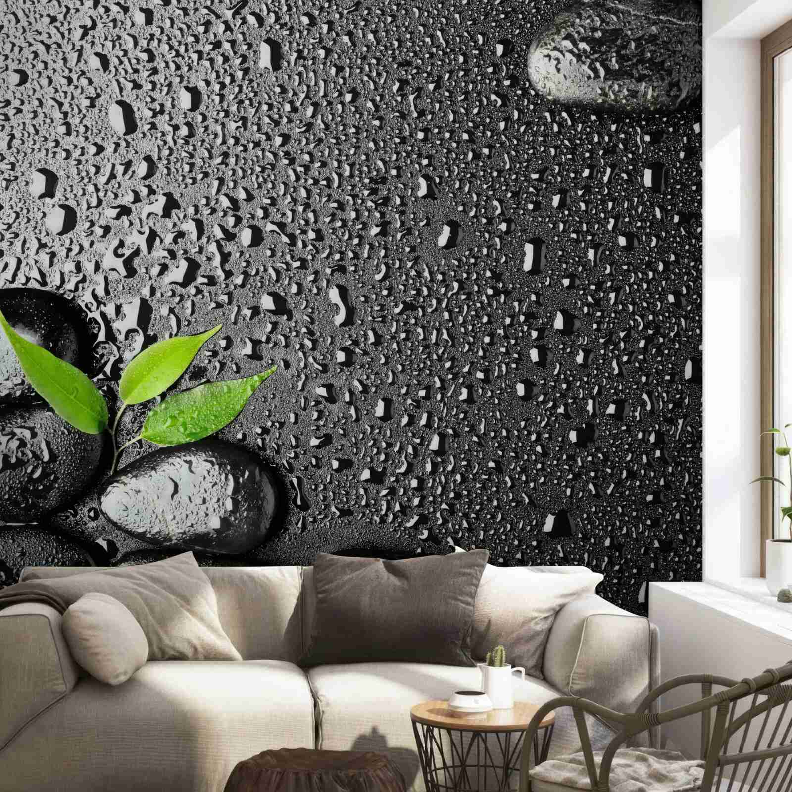 Fototapet frunze verzi și pietre negre