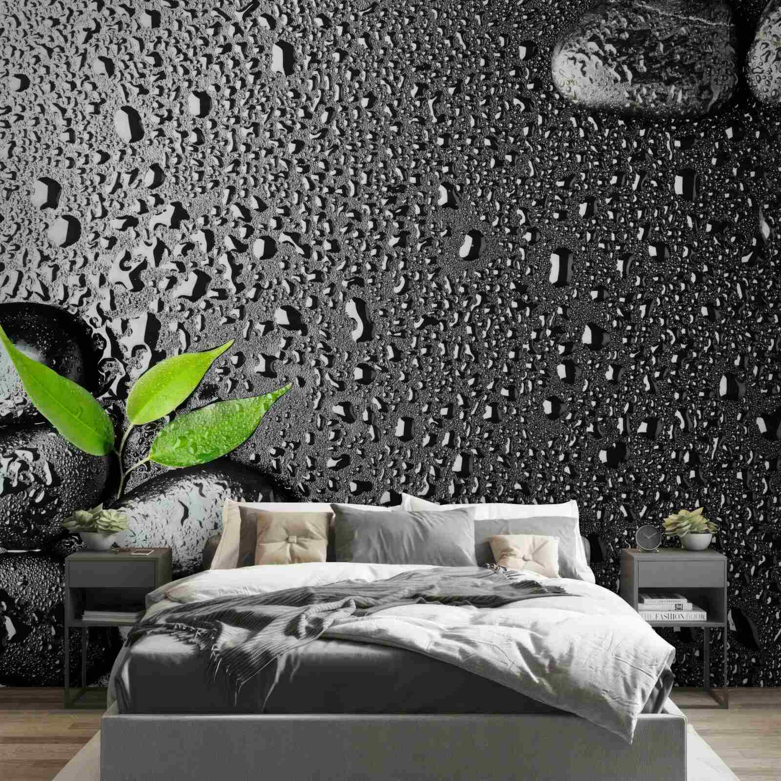 Fototapet frunze verzi și pietre negre