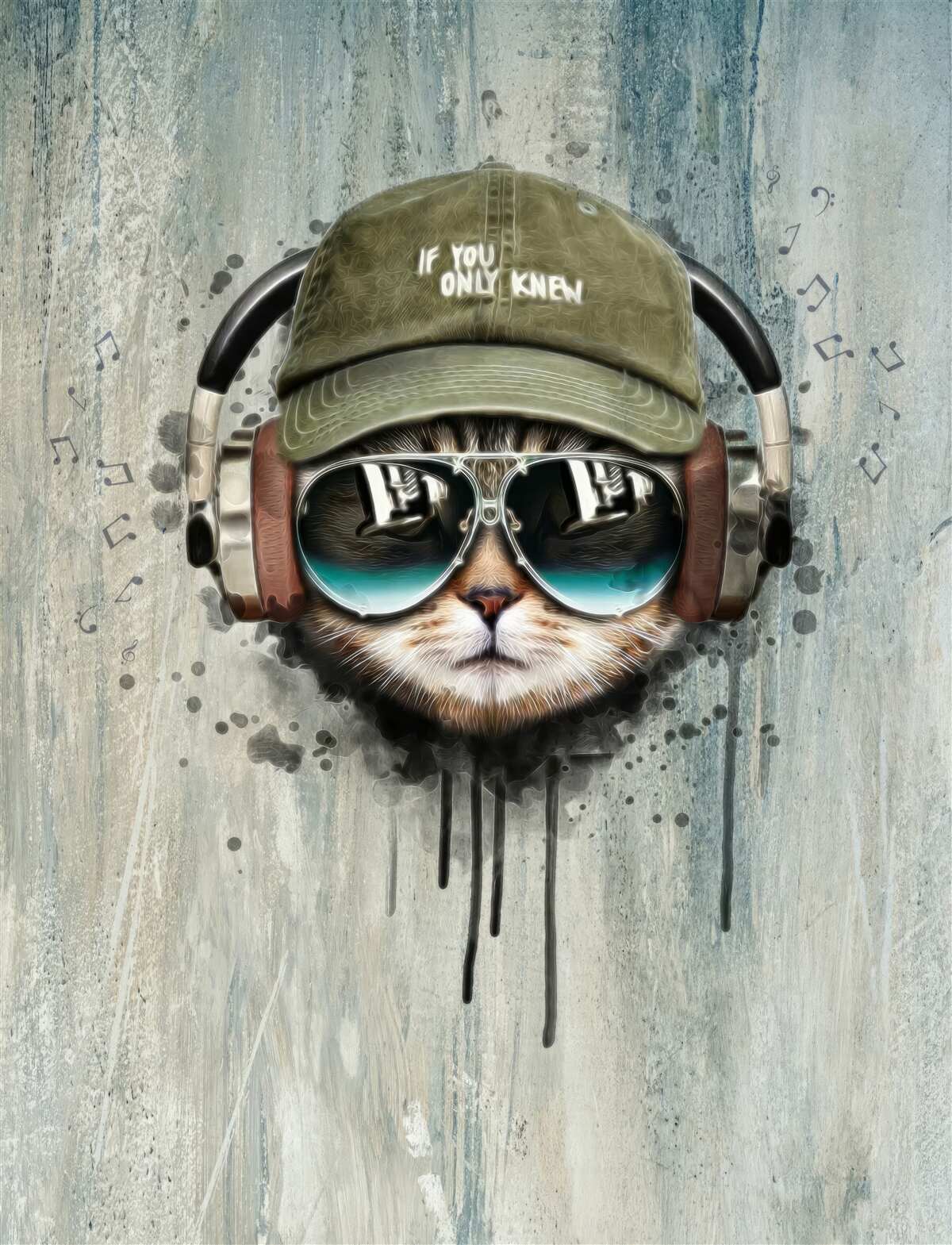 Fototapet pisică la modă