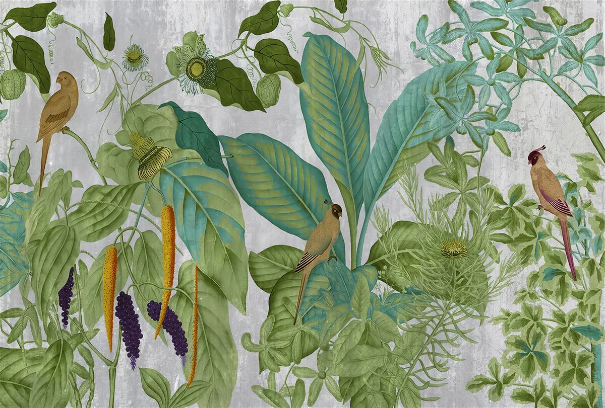 Fototapet printre frunzele verzi sunt papagali