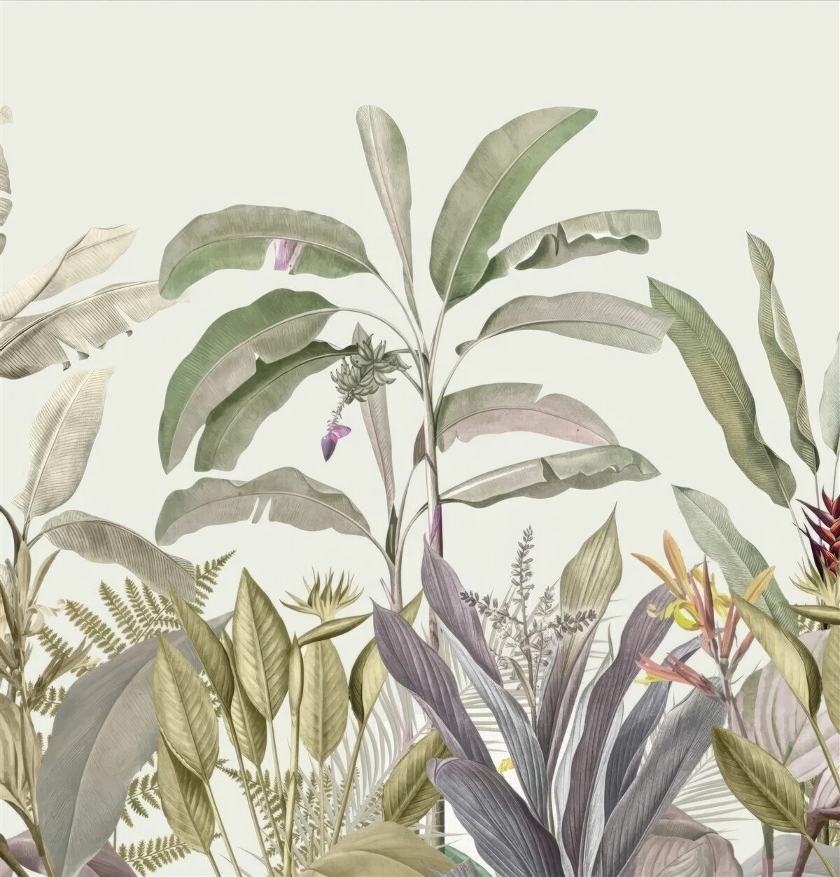 Fototapet plante și frunze de formă rară