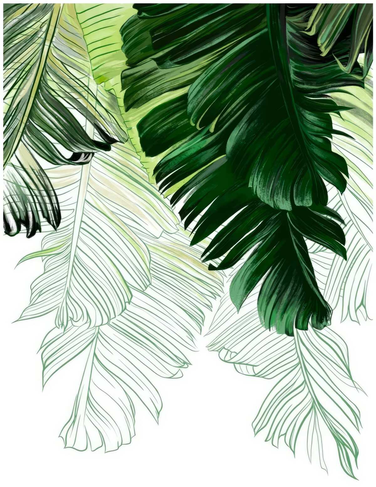 Fototapet nuanțe de verde ale frunzelor mari de ferigă