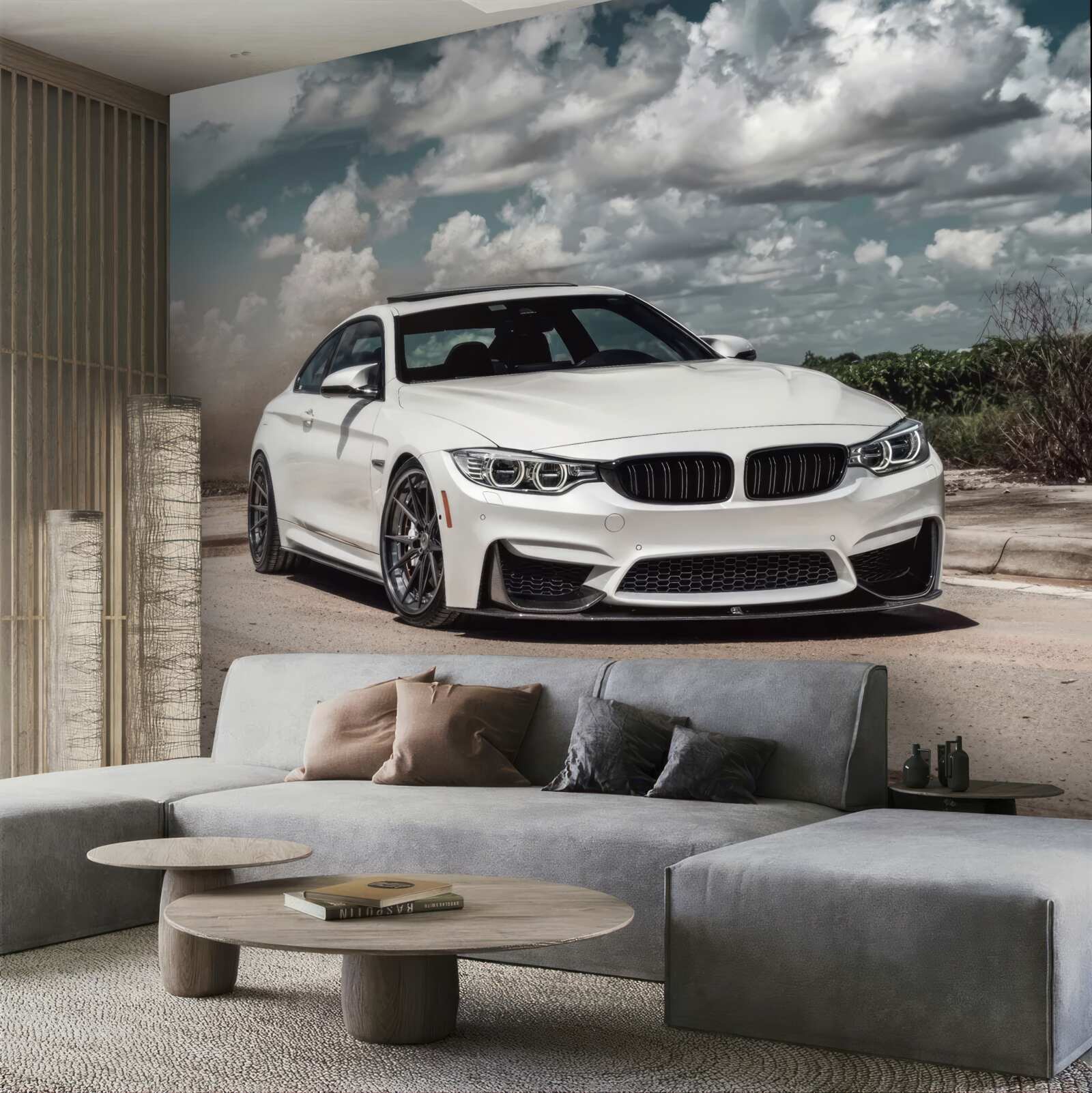 Fototapet mașina este albă