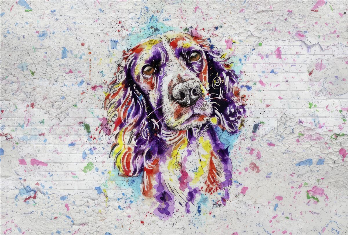 Fototapet plăcinte pop-artu