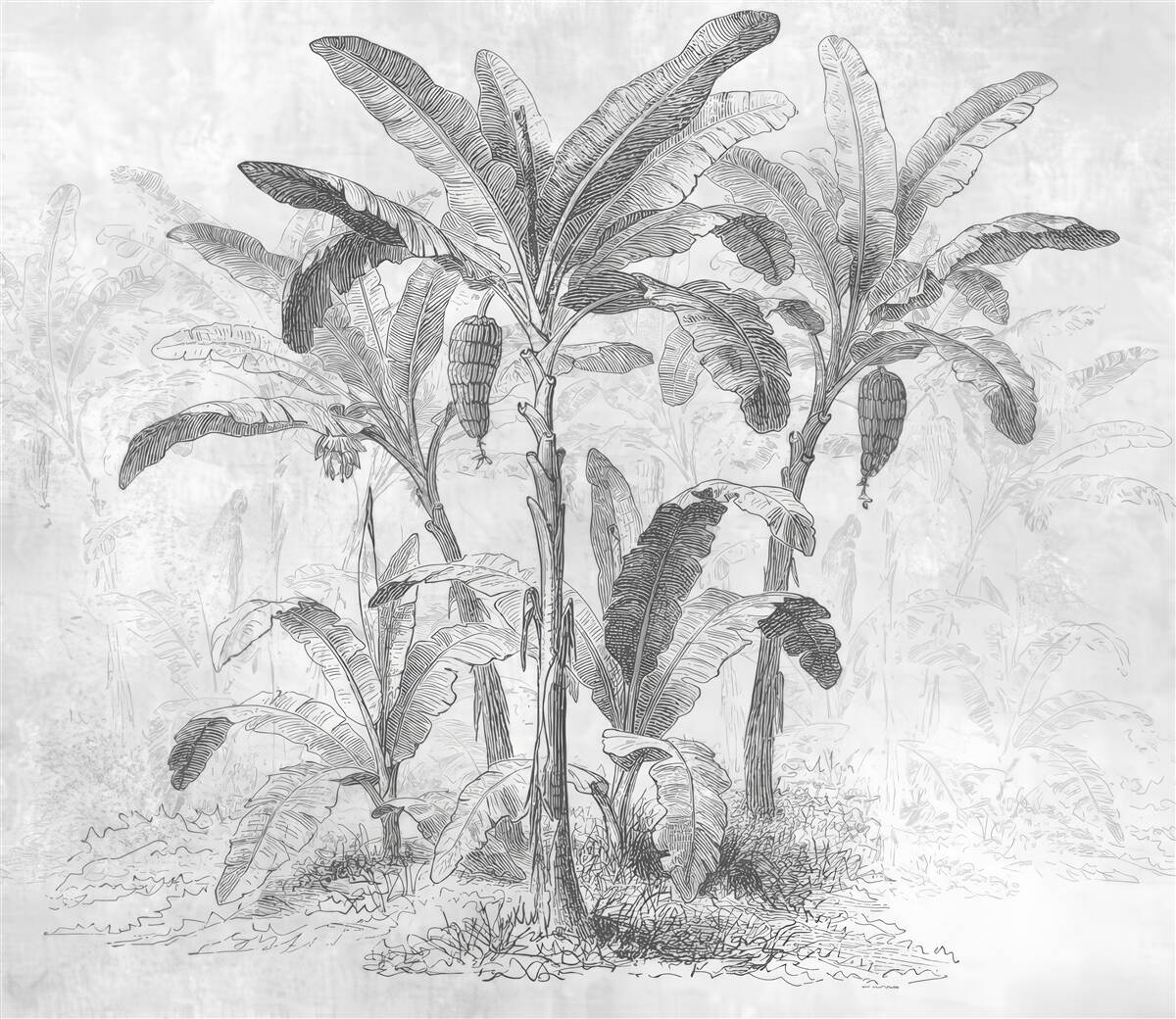 Fototapet palmele arătate