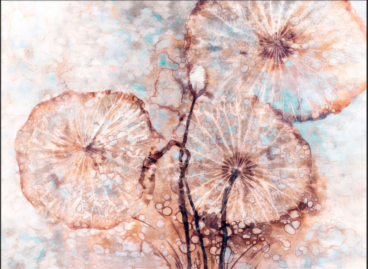 Fototapet plantă prezentată într-un mod neobișnuit