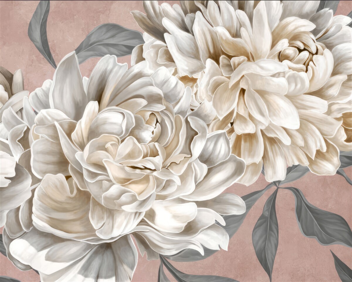 Fototapet bujori uriași, albi ca zăpada