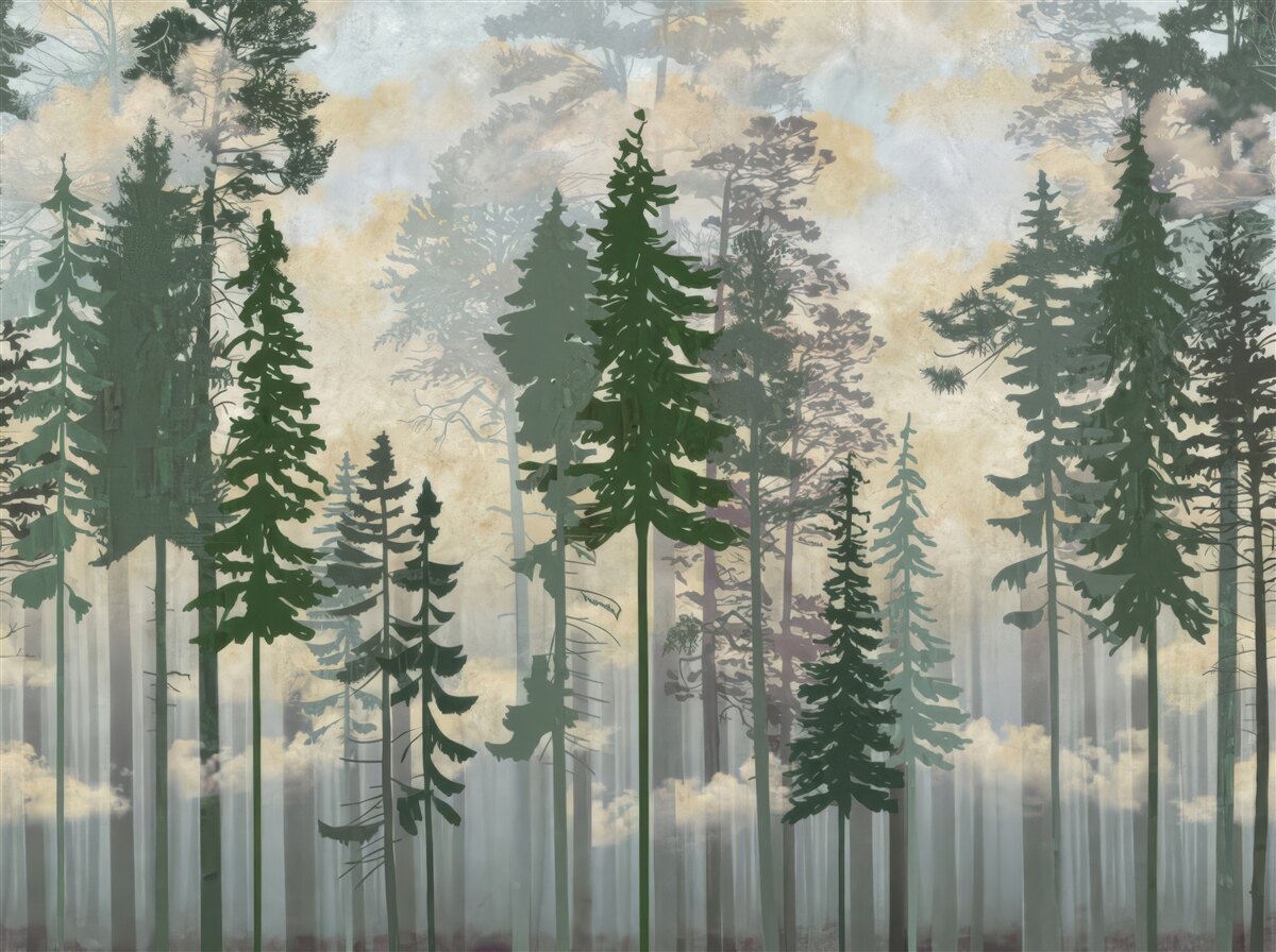 Fototapet pădure cețoasă învăluită în copaci