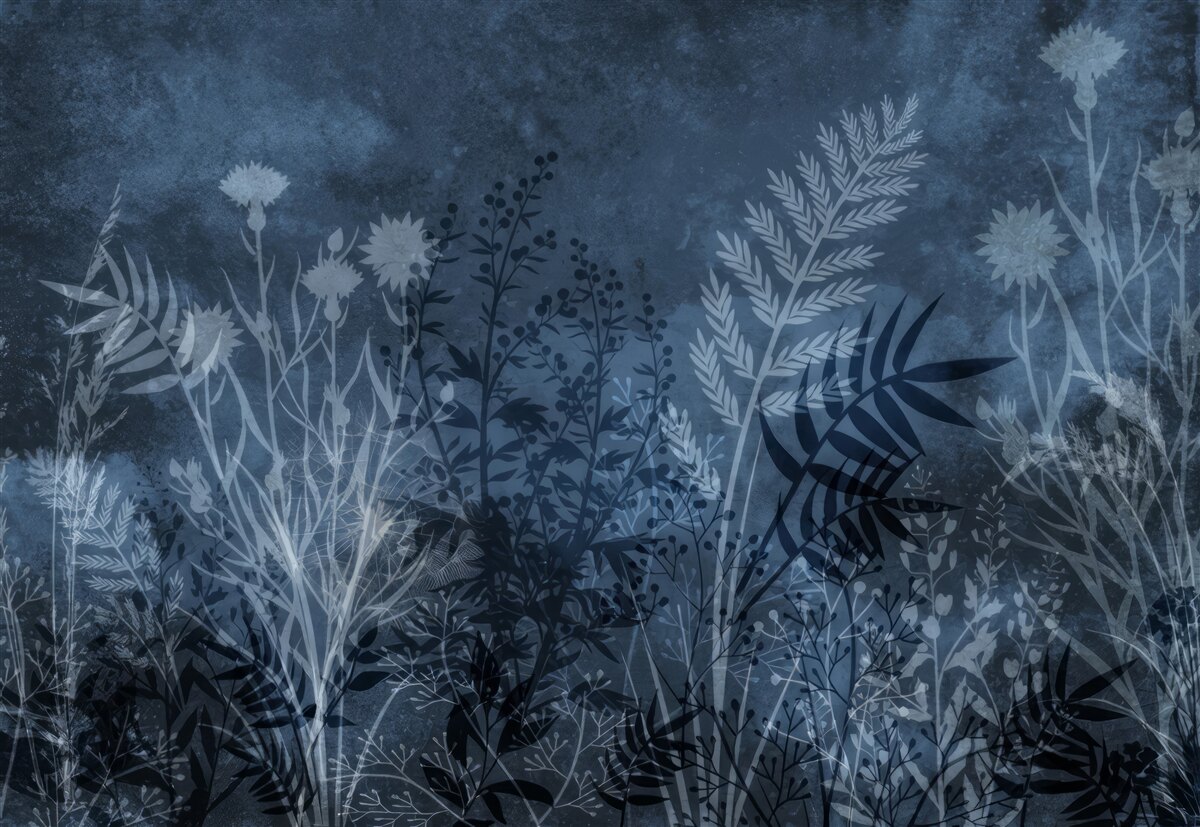 Fototapet luna de noapte luminează pajiștea și plantele