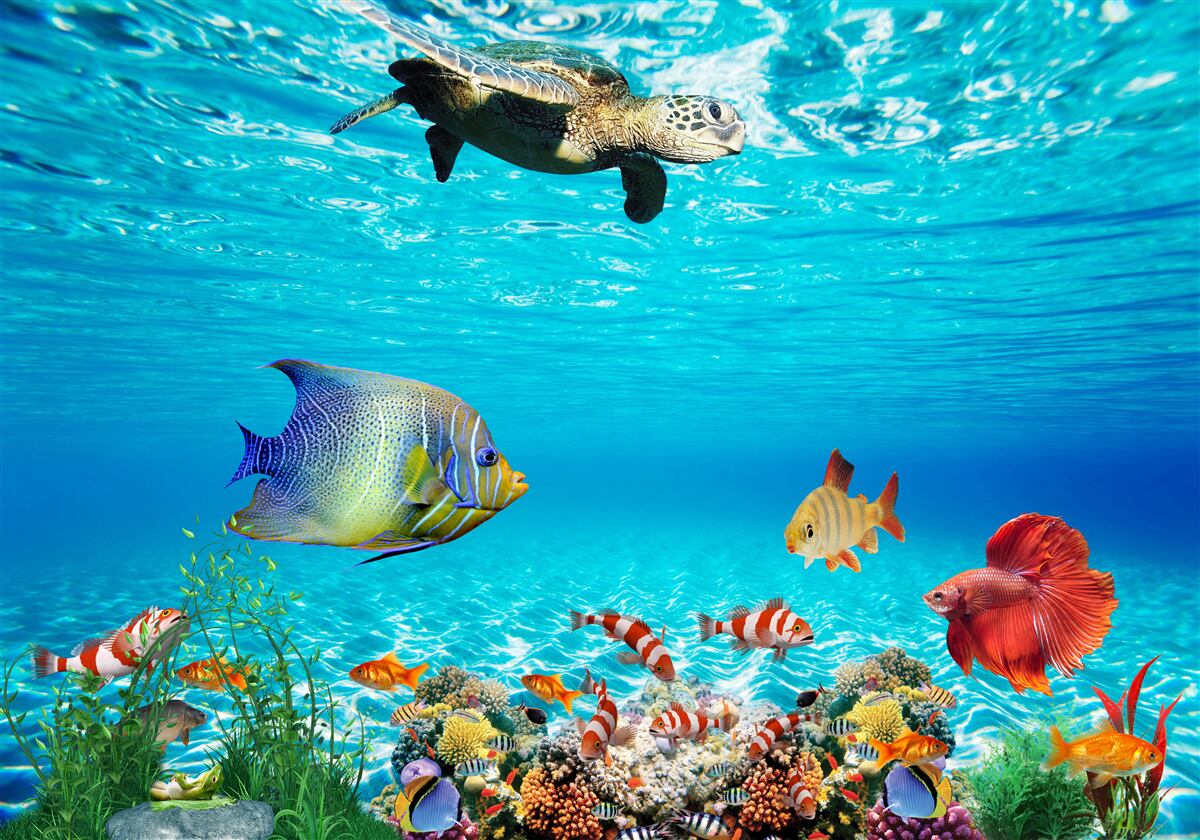 Fototapet locuitori marini ai adâncurilor oceanului