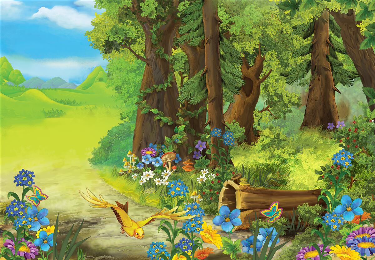 Fototapet magică pădure verde de vară