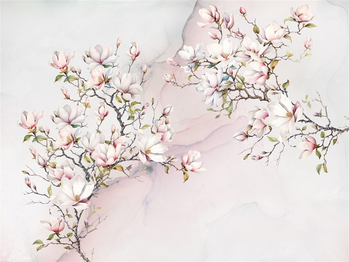 Fototapet Ramurile magnoliei albe și roz sunt grațioase și frumoase