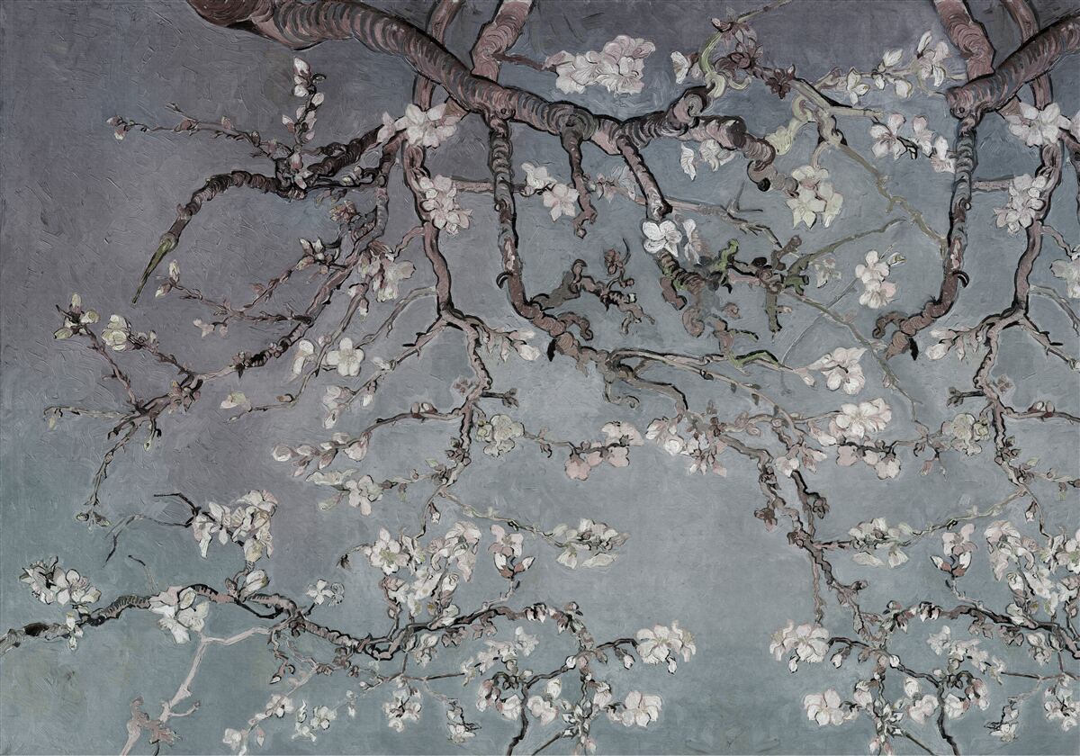 Fototapet ramură de magnolie în floare