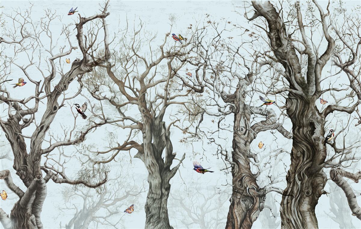 Fototapet copaci toamna care și-au pierdut frunzele