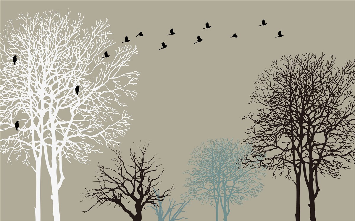 Fototapet păsările zboară deasupra vârfurilor copacilor