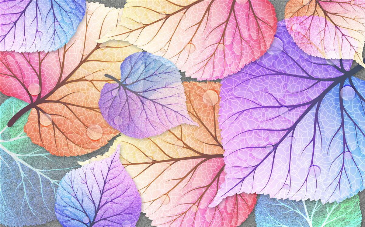 Fototapet frunze de toamnă pictate în culori vii