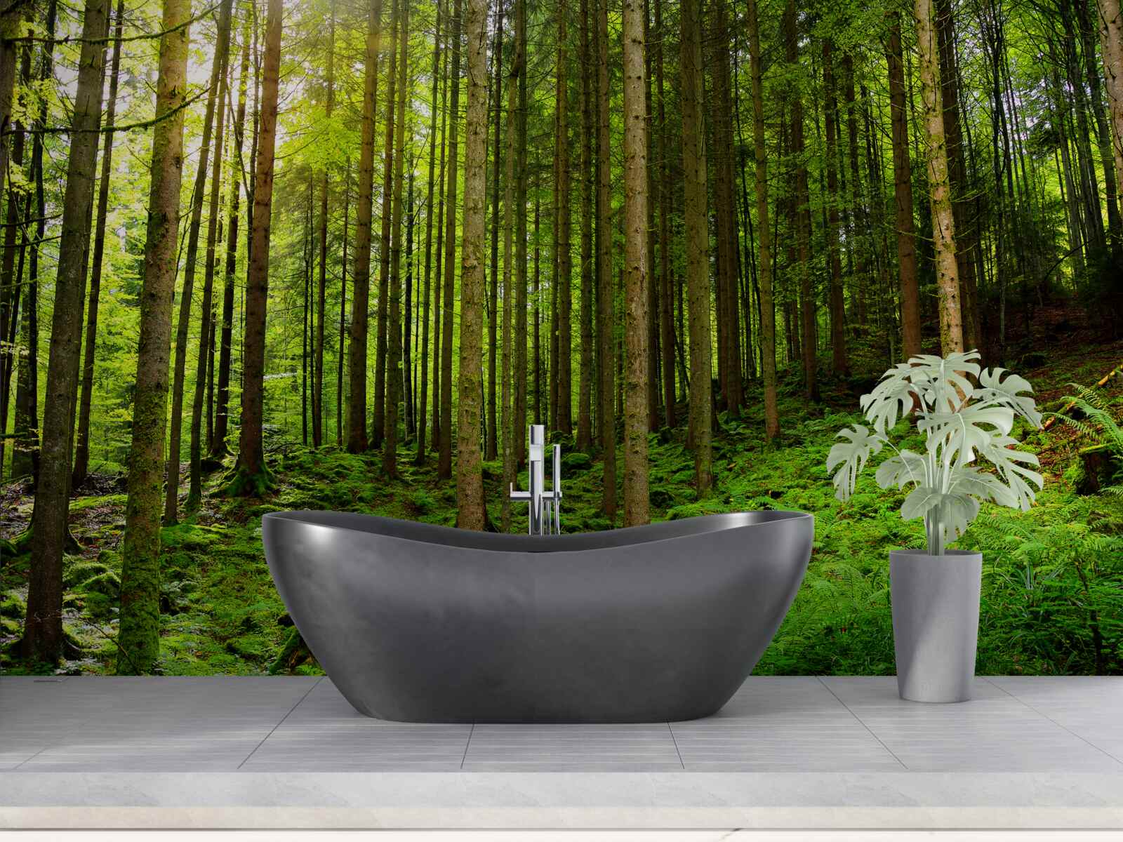 Fototapet razele soarelui pătrund în pădure