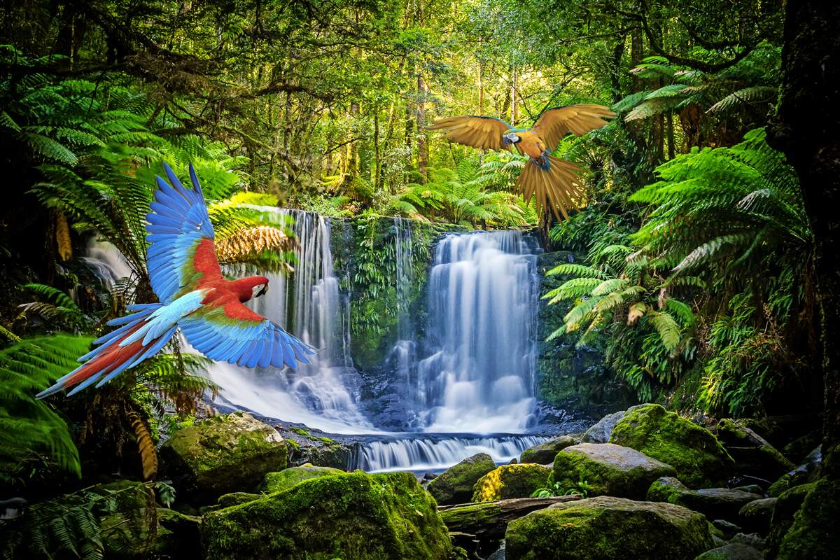 Fototapet o cascadă ascunsă în pădure