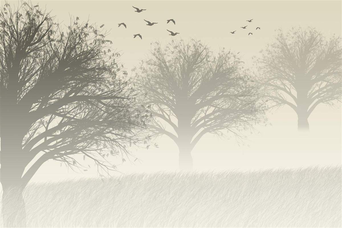 Fototapet păsările își iau zborul pentru iarnă