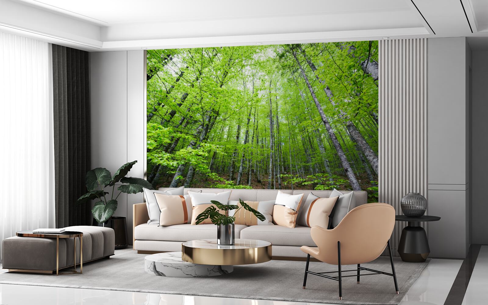 Fototapet coroanele verzi ale copacilor din pădure strălucesc