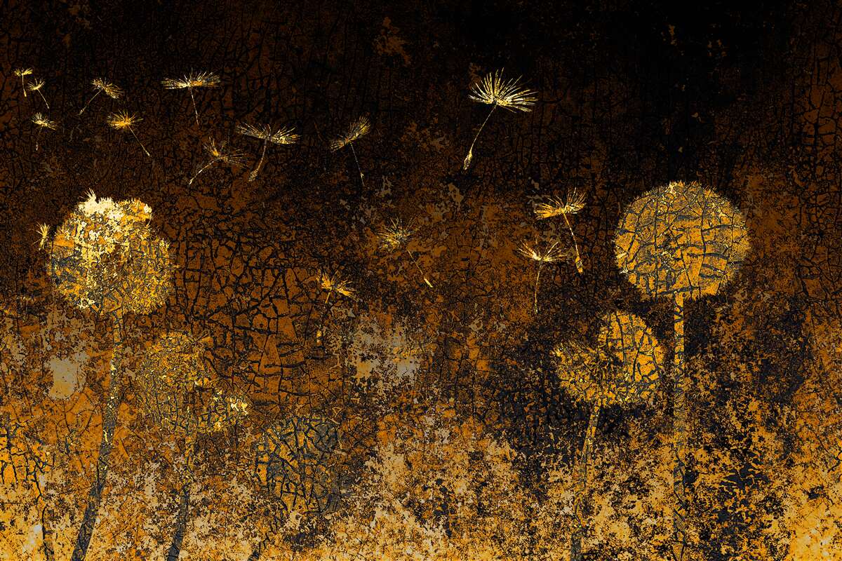 Fototapet noaptea vântul mișcă păpădiile