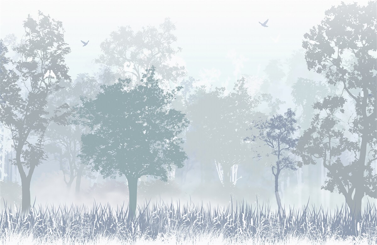 Fototapet pădure de dimineață învăluită în ceață