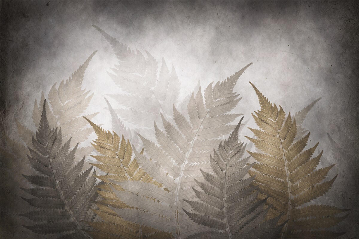 Fototapet frunze de ferigă învăluite în ceață în pădure