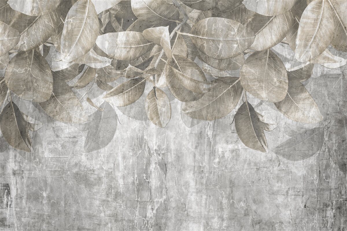 Fototapet frunzele de eucalipt cad la pământ