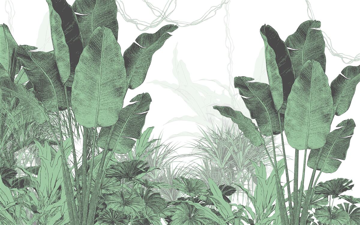 Fototapet frunze tropicale mari de dimensiuni considerabile