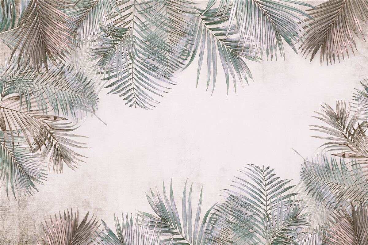 Fototapet frunze de ferigă luxuriante pe un fundal gri