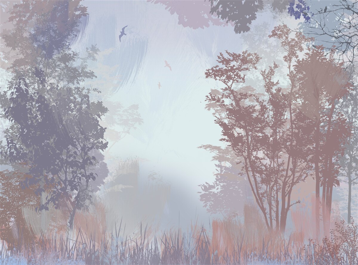 Fototapet o dimineață de toamnă în pădure